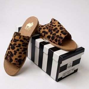 Camel Toes Sahara  Leopard Slides Size 7 NWT